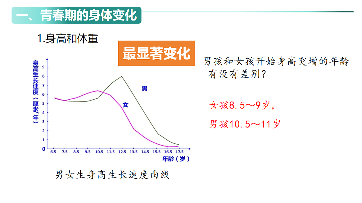 18199702第3页