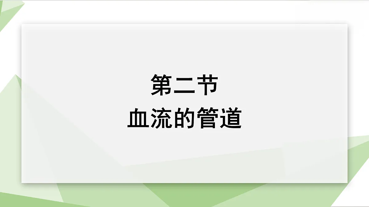 18199704第1页