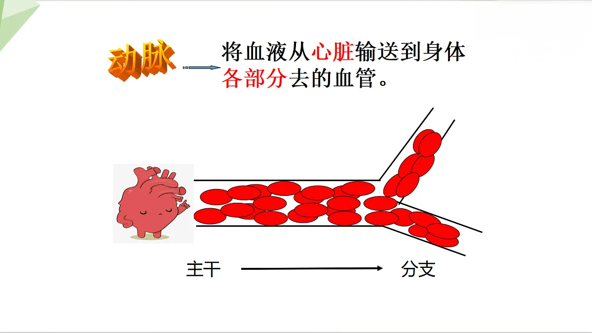 18199704第3页