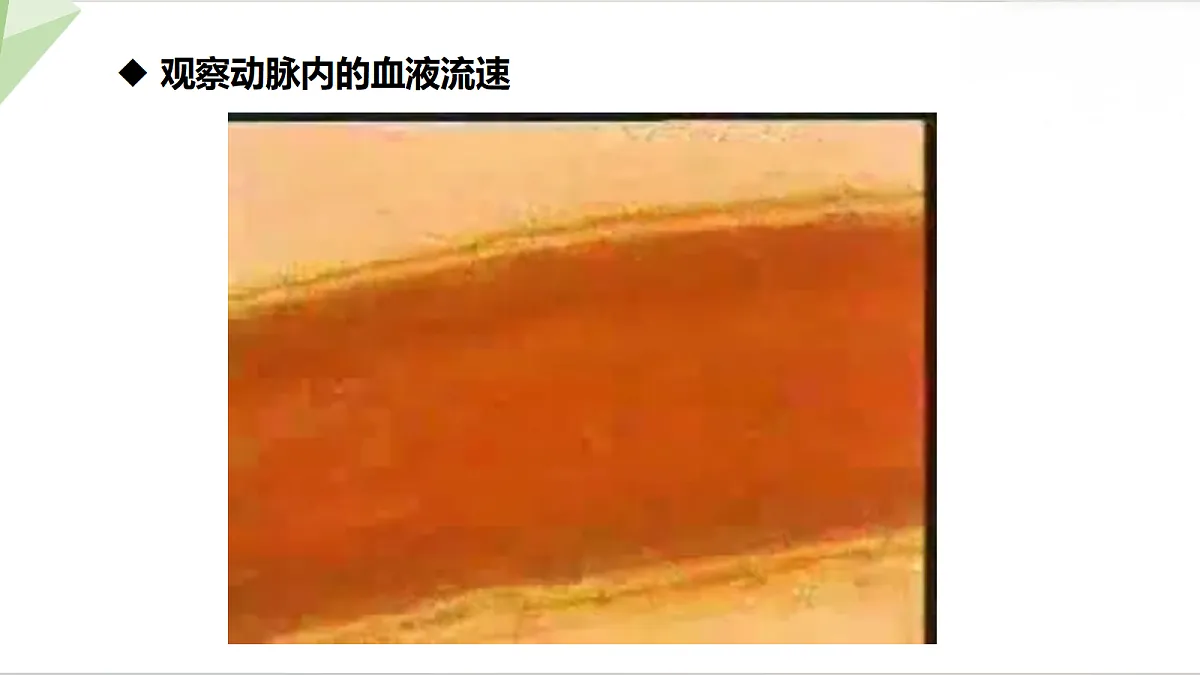 18199704第5页