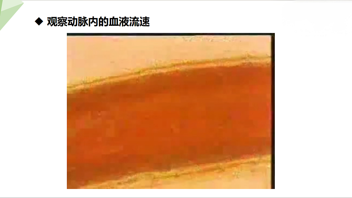 18199704第5页