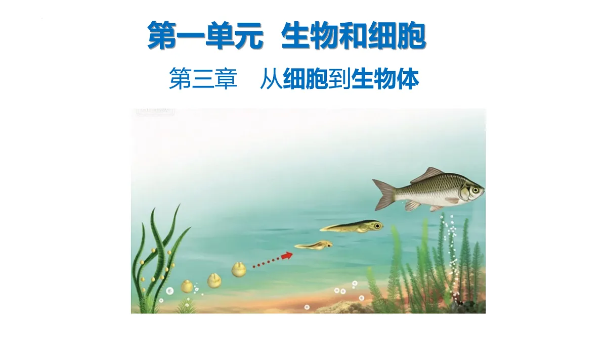18199706第1页