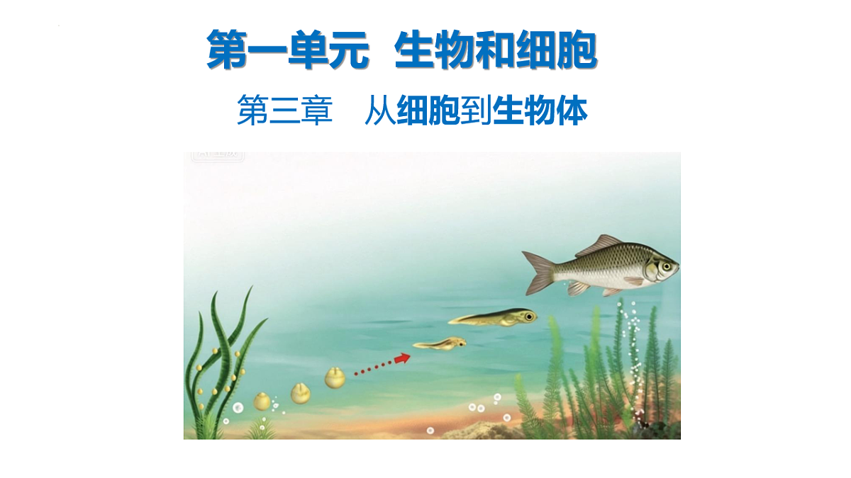 18199706第1页