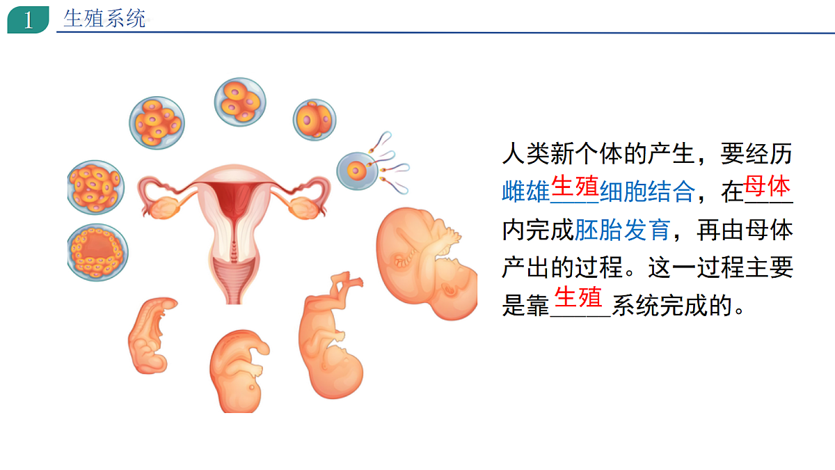 18199707第3页