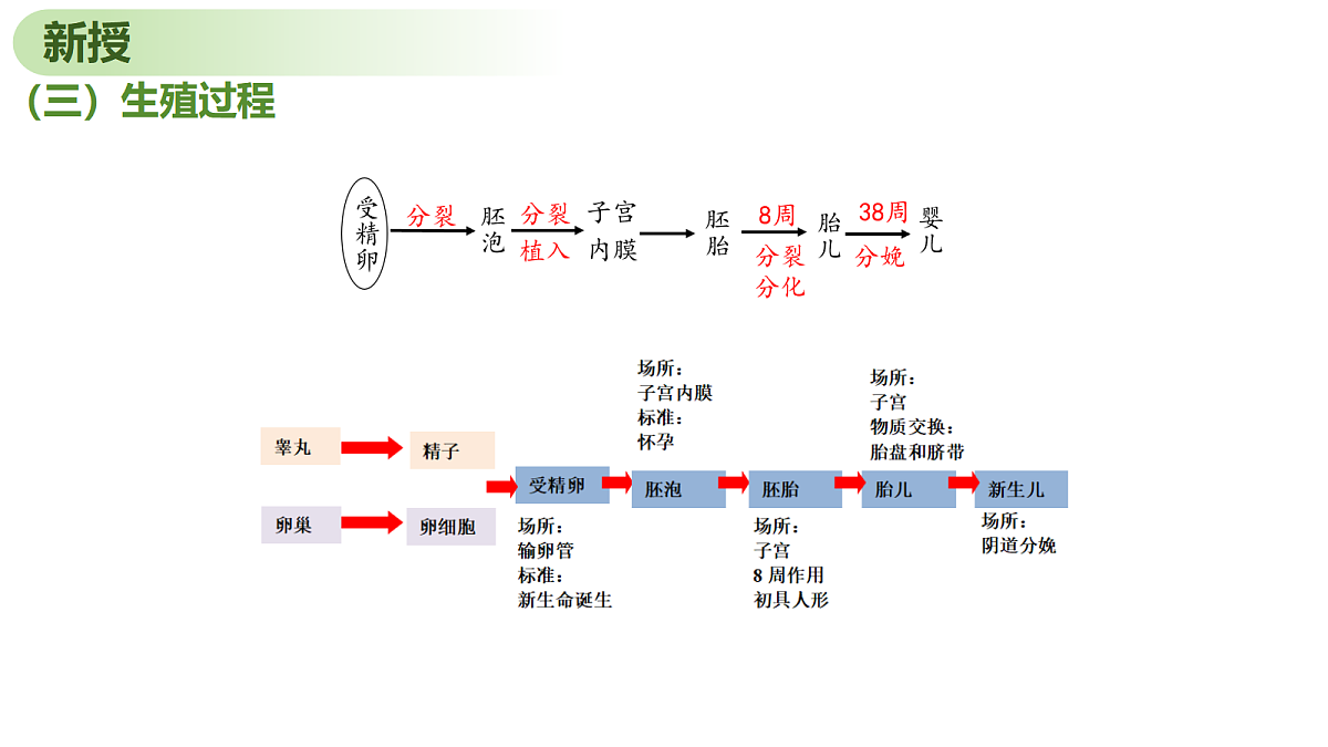 18199708第8页