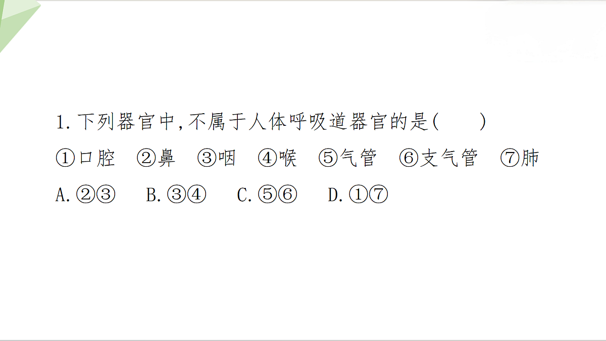18199713第2页