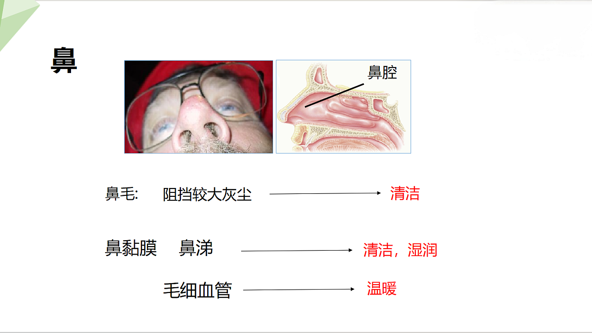 18199713第4页