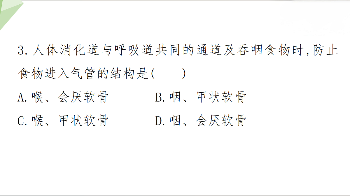 18199713第8页