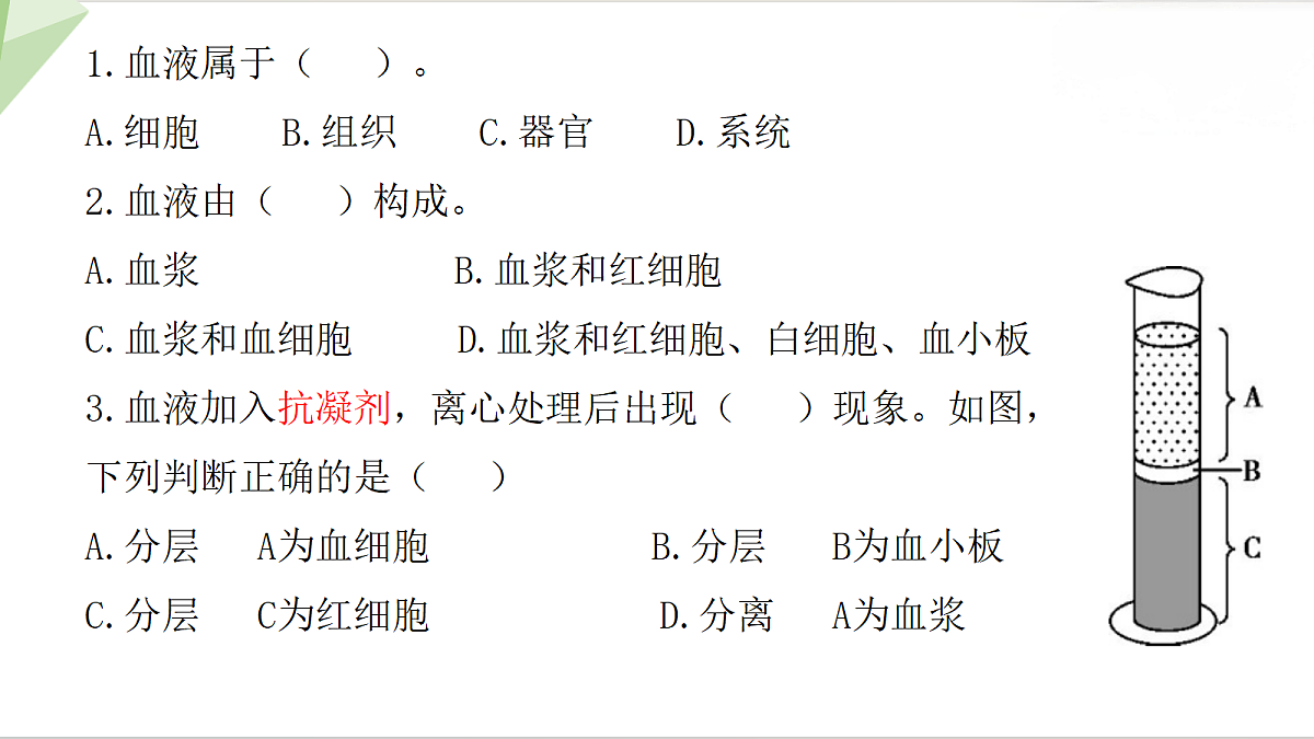 18199715第3页