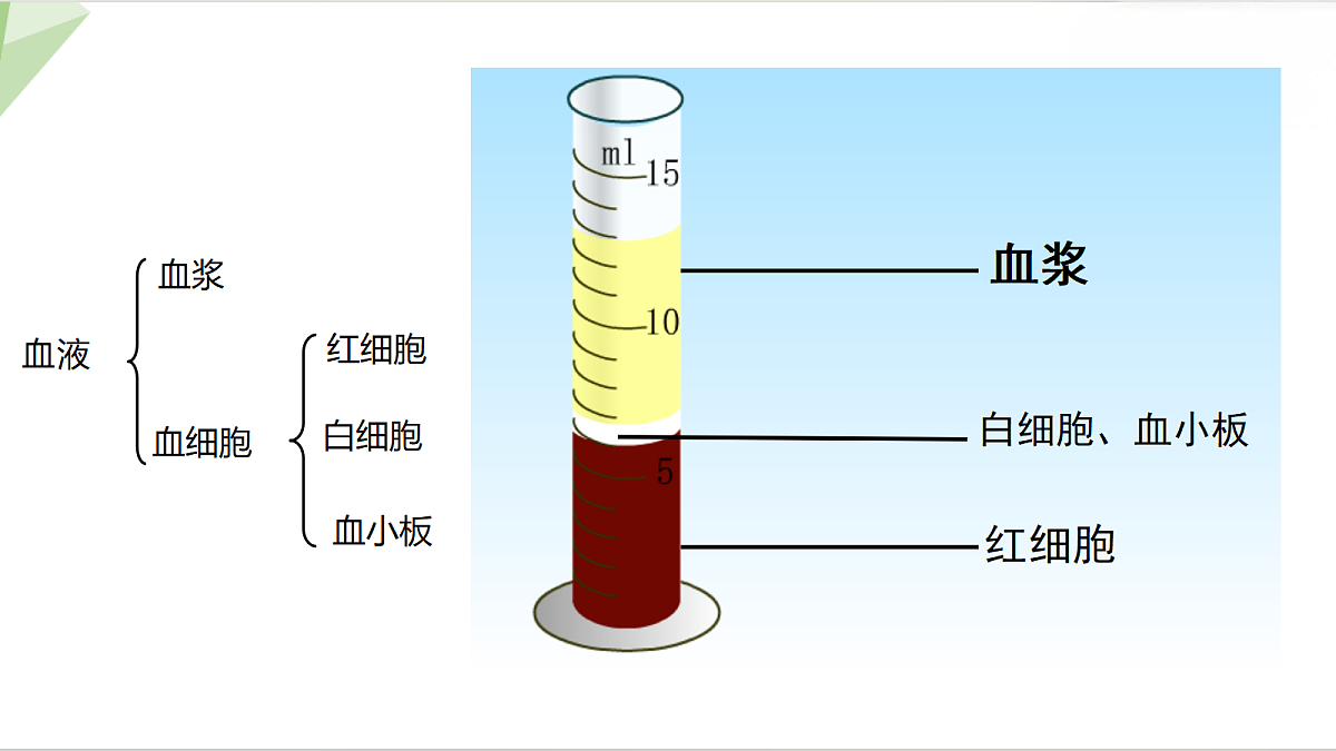 18199715第4页