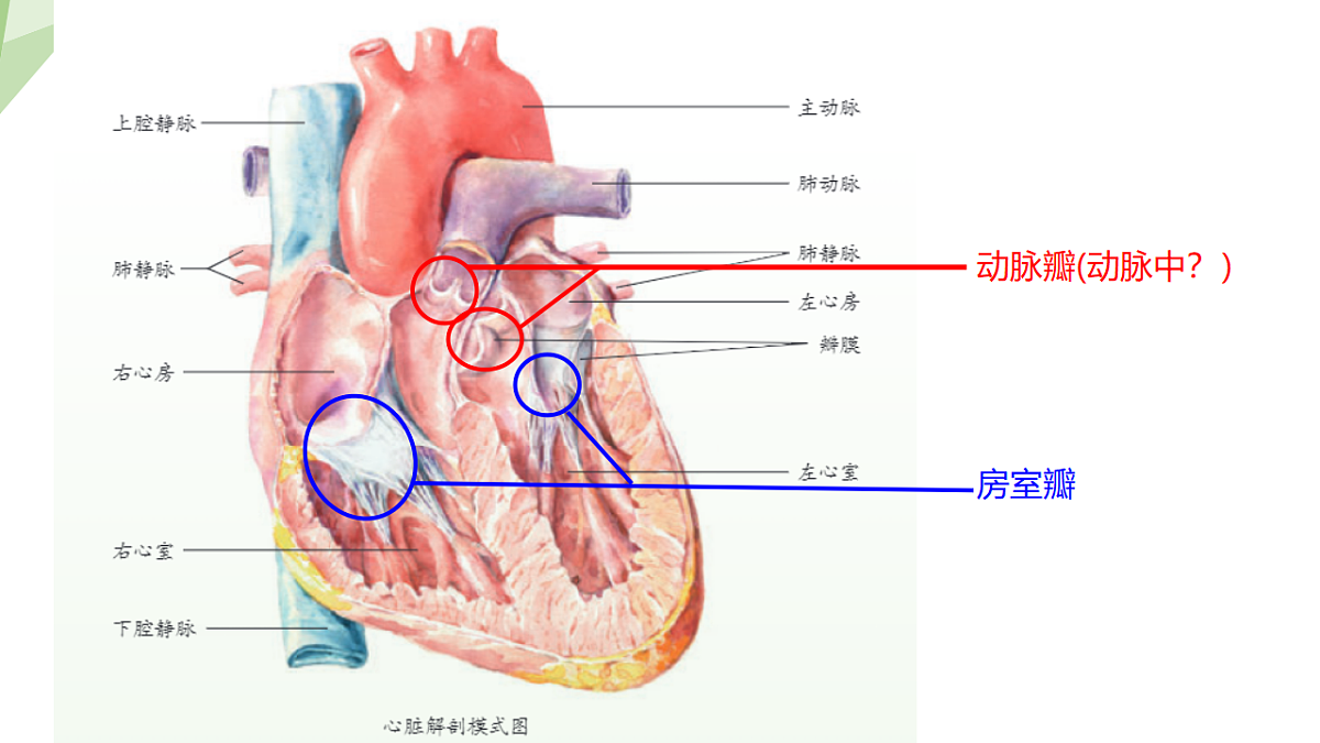 18199716第5页