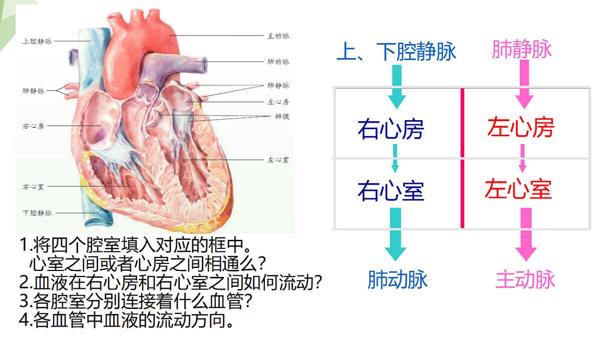 18199716第6页