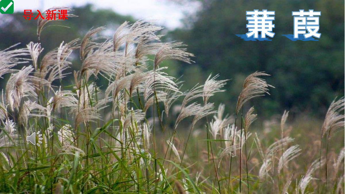 18199795第1页