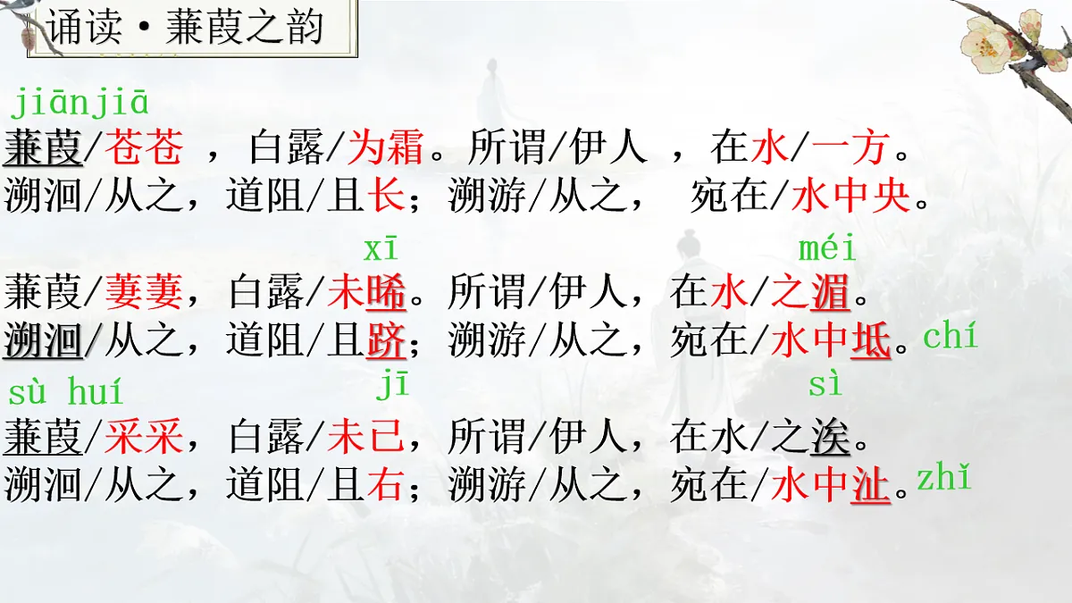 18199796第3页