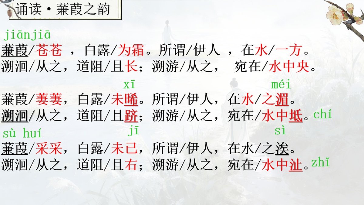 18199796第3页