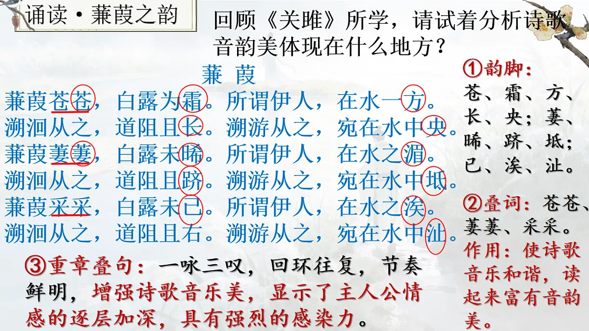 18199796第4页