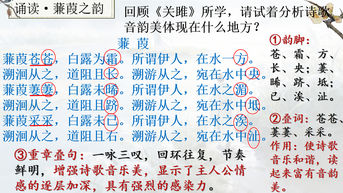 18199796第4页