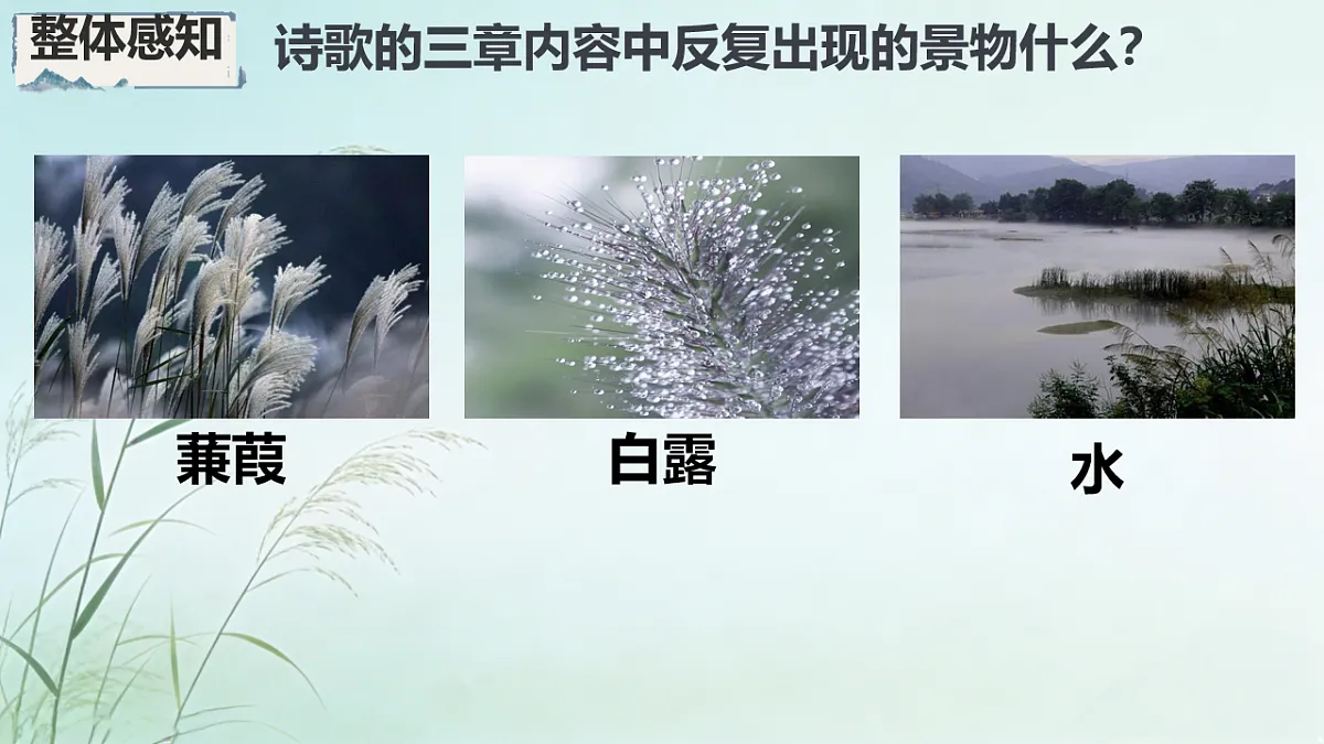 18199796第8页