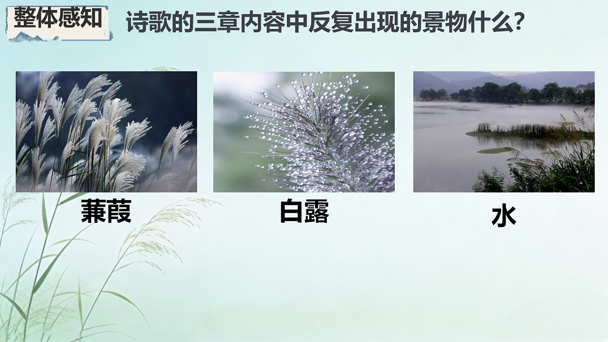 18199796第8页