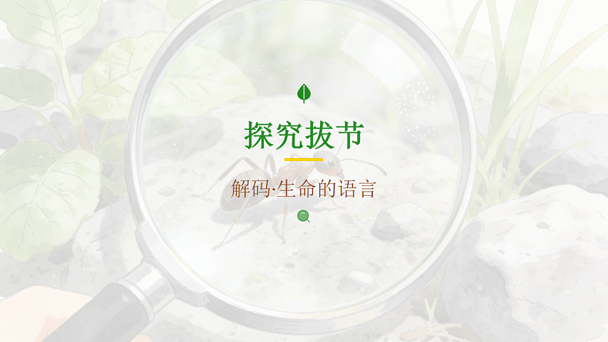 18199808第4页