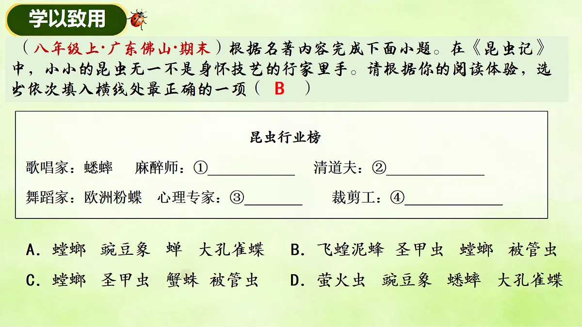 18199809第7页