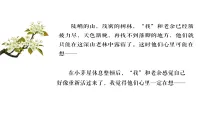 人教部编版(2024)七年级下册(2024)驿路梨花说课ppt课件