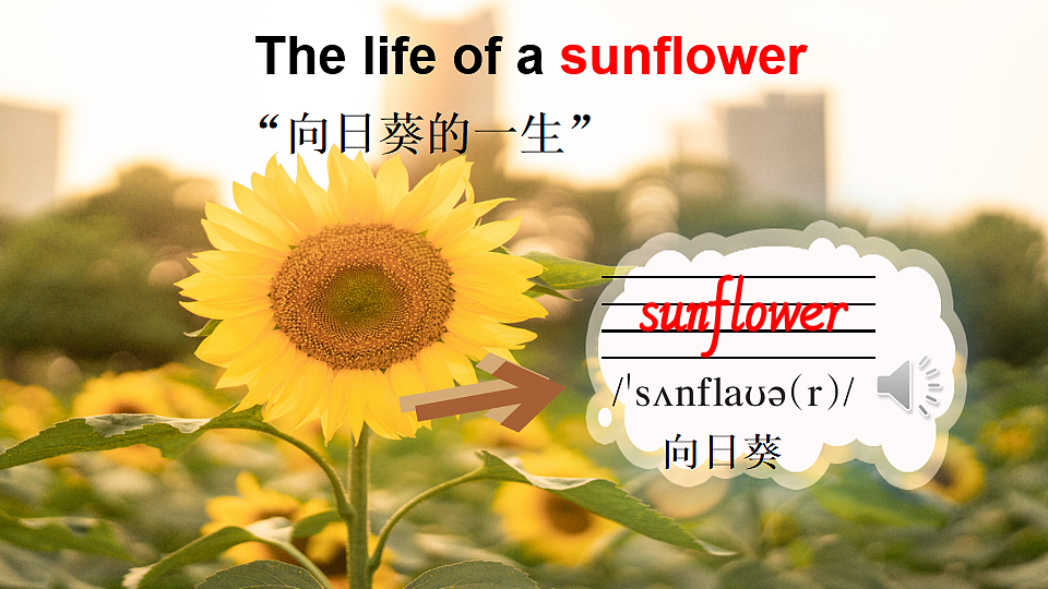 18200191第3页
