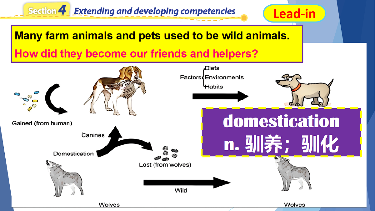 18200234第4页