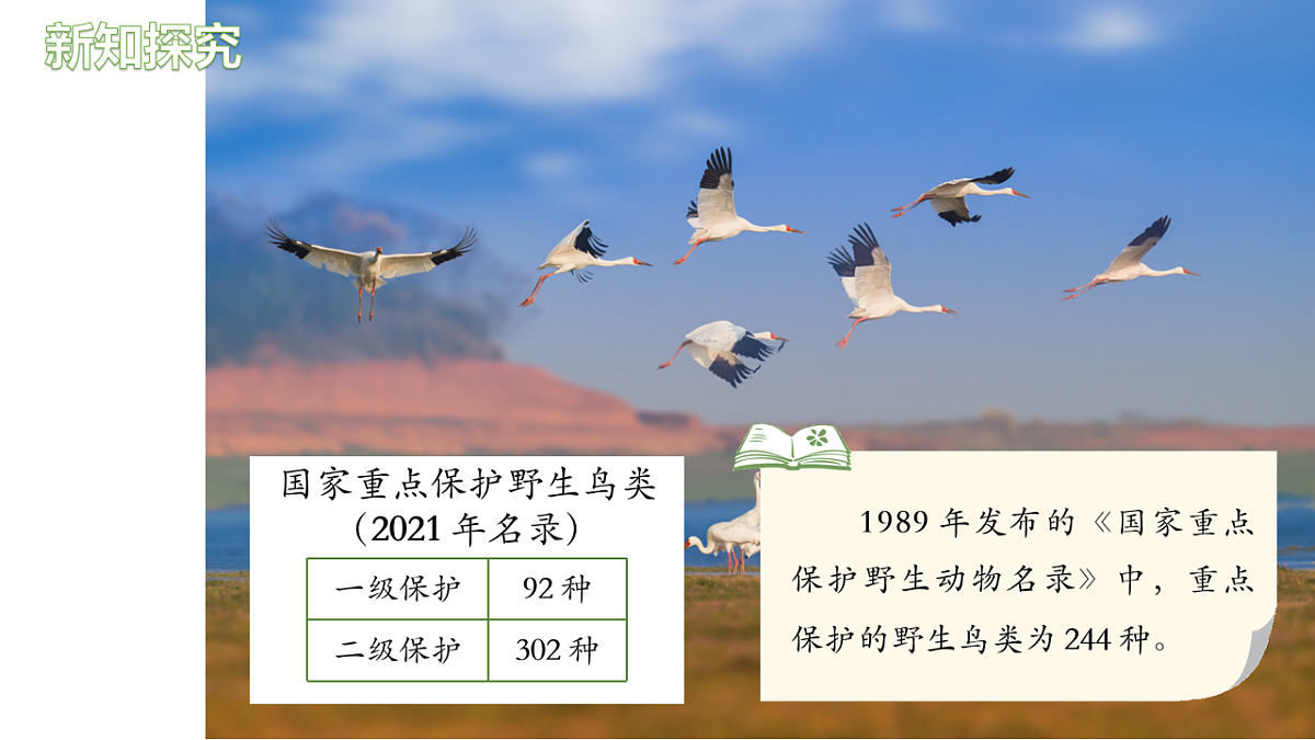 18200639第4页