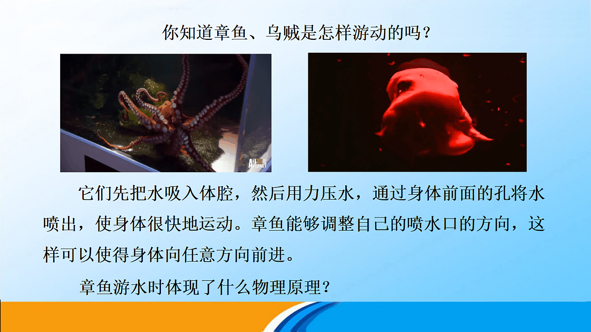 18201513第3页