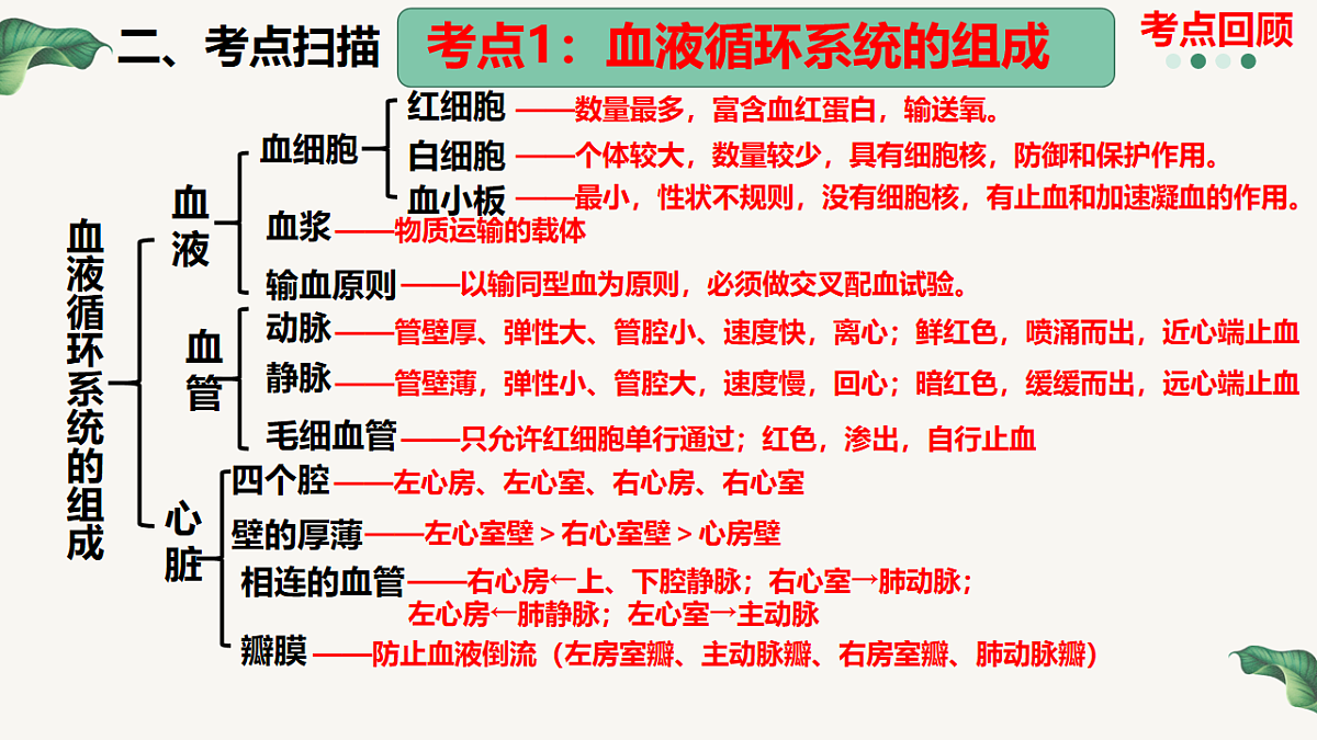 18201643第4页
