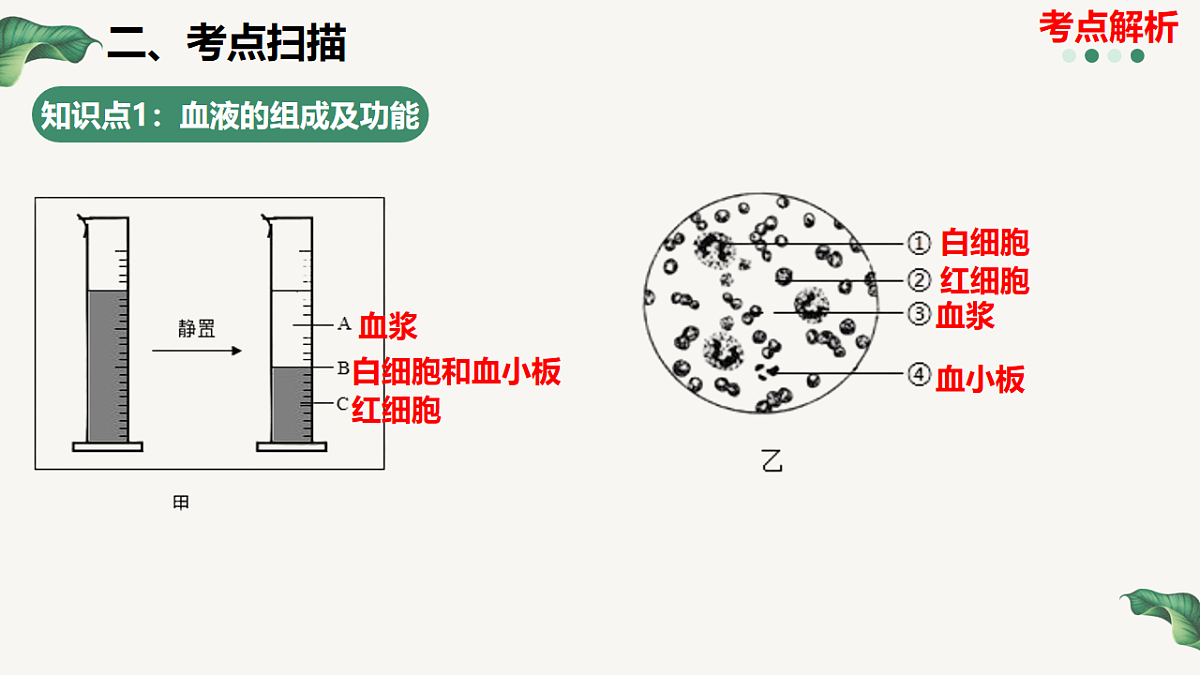 18201643第5页