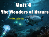 Unit 4 Section A 2a-2d 课件-人教版初中英语八年级下册（新教材）