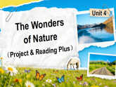Unit 4 Project Reading Plus 课件-人教版初中英语八年级下册（新教材）
