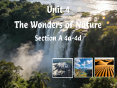 Unit 4 Section A 4a-4d 课件-人教版初中英语八年级下册（新教材）