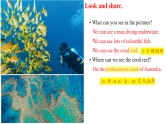 Unit 4 Section B 3a-3c 课件-人教版初中英语八年级下册（新教材）