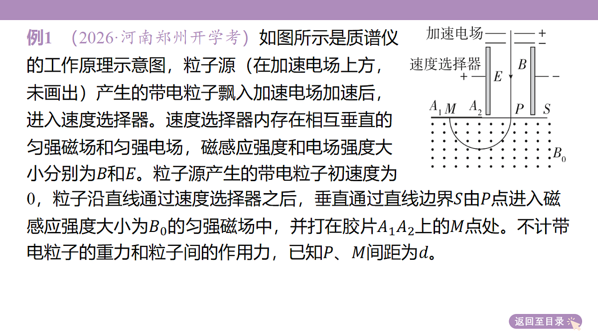 18202404第8页