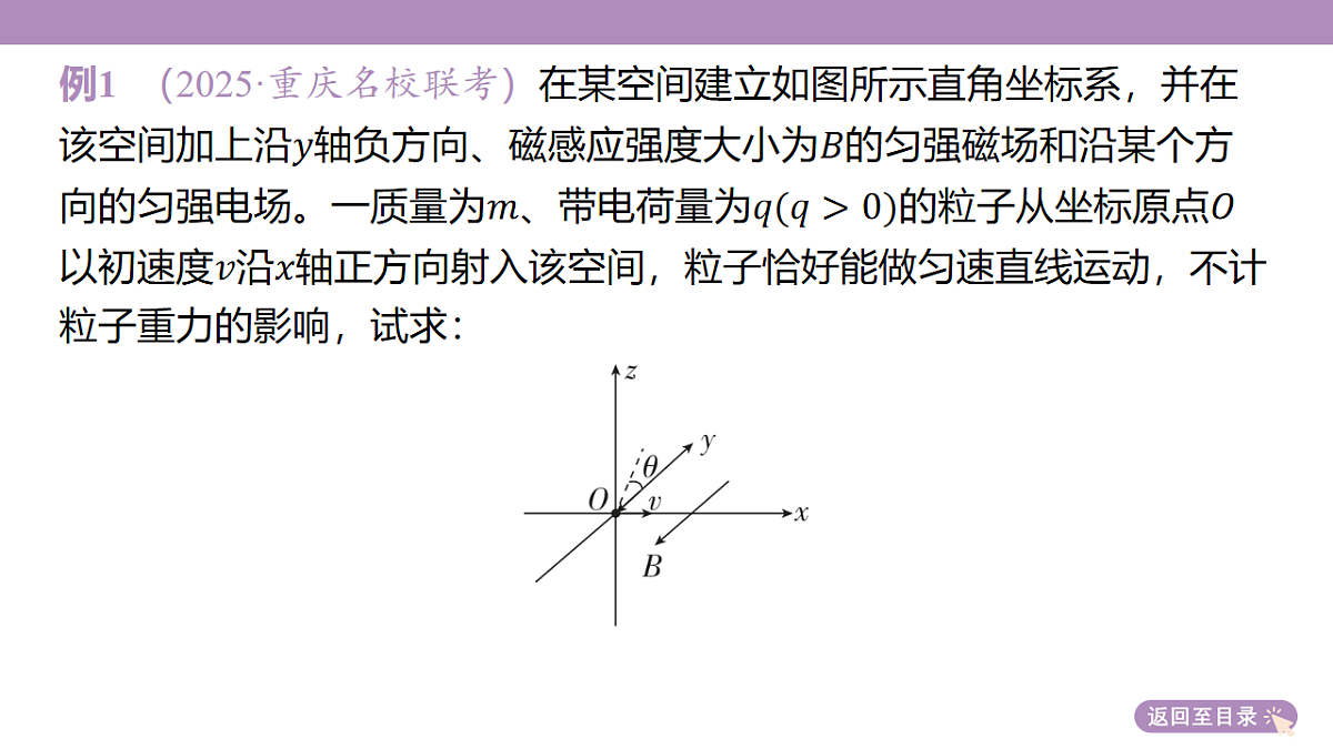 18202406第8页