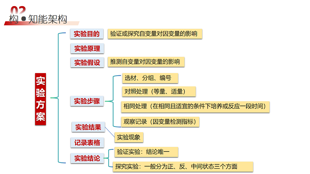 18202557第6页