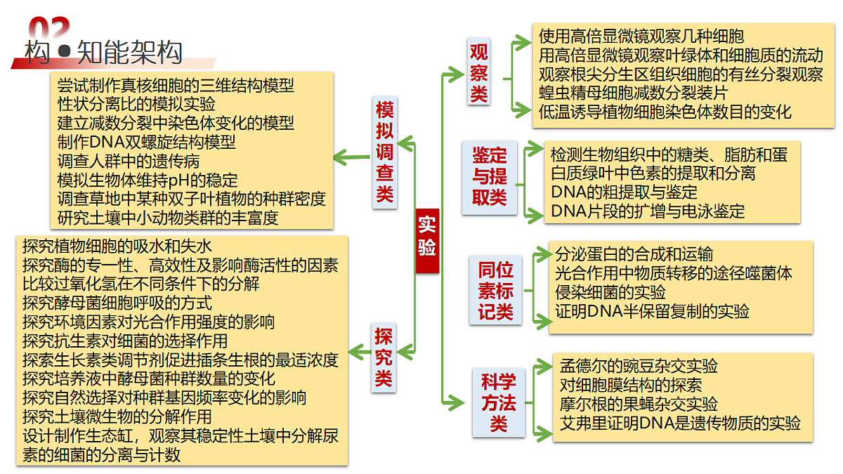 18202558第6页