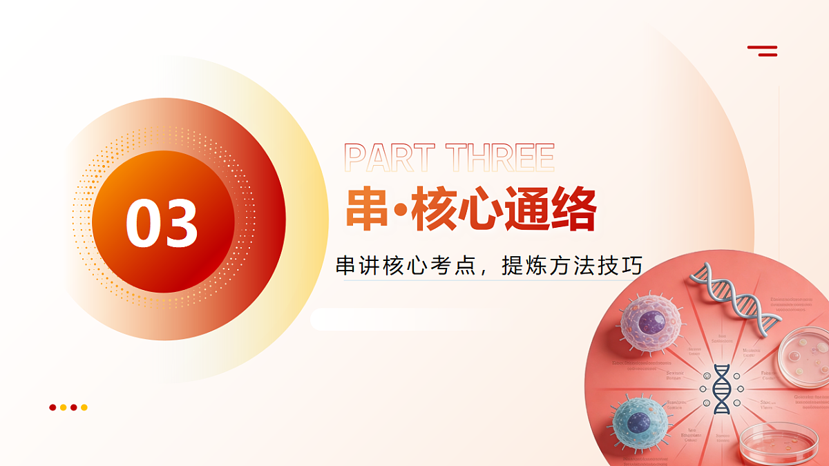 18202558第7页