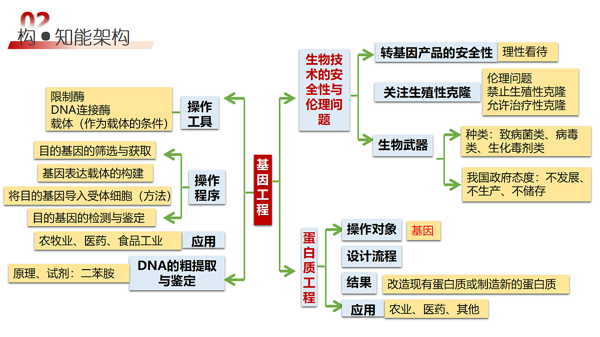 18202559第6页
