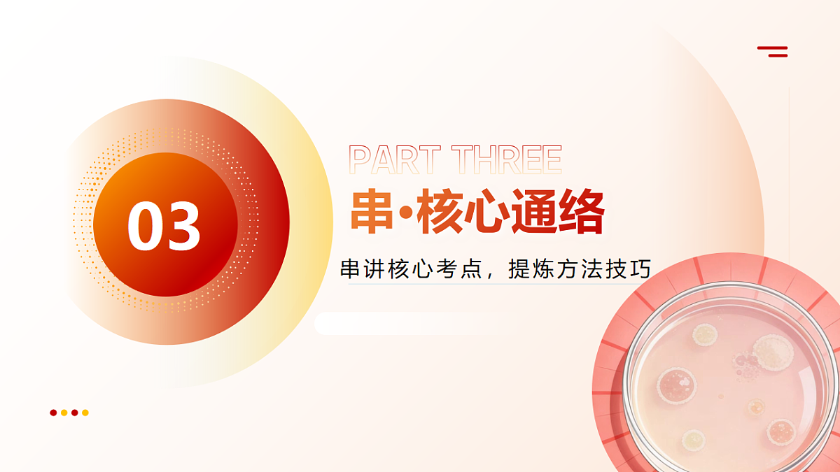 18202561第7页