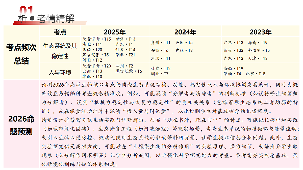 18202562第4页