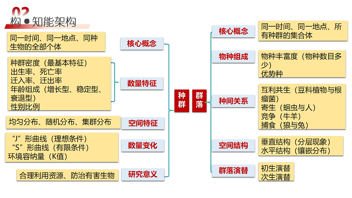 18202563第6页