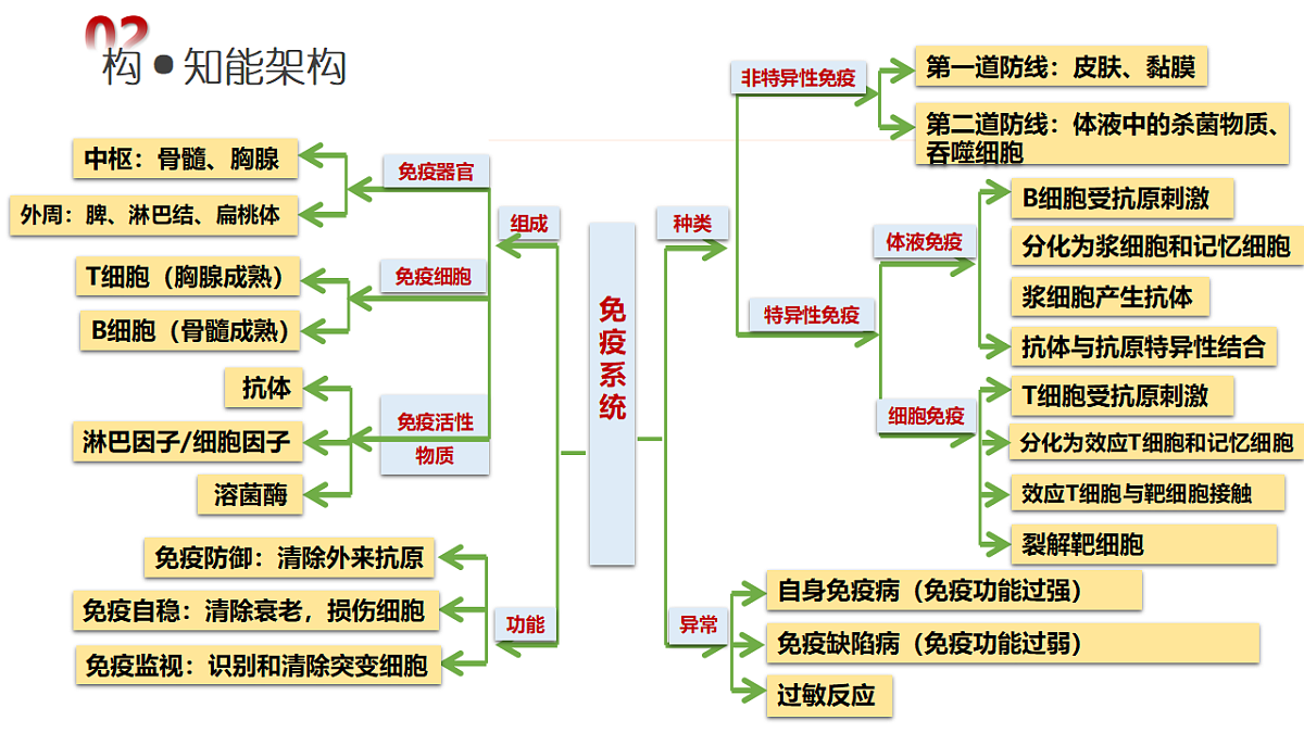 18202564第6页