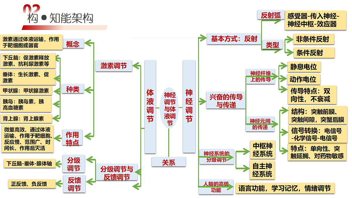 18202565第6页