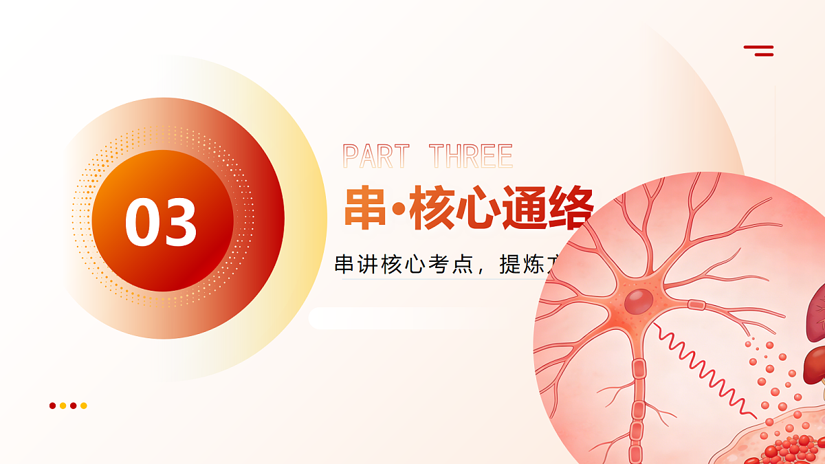 18202565第7页