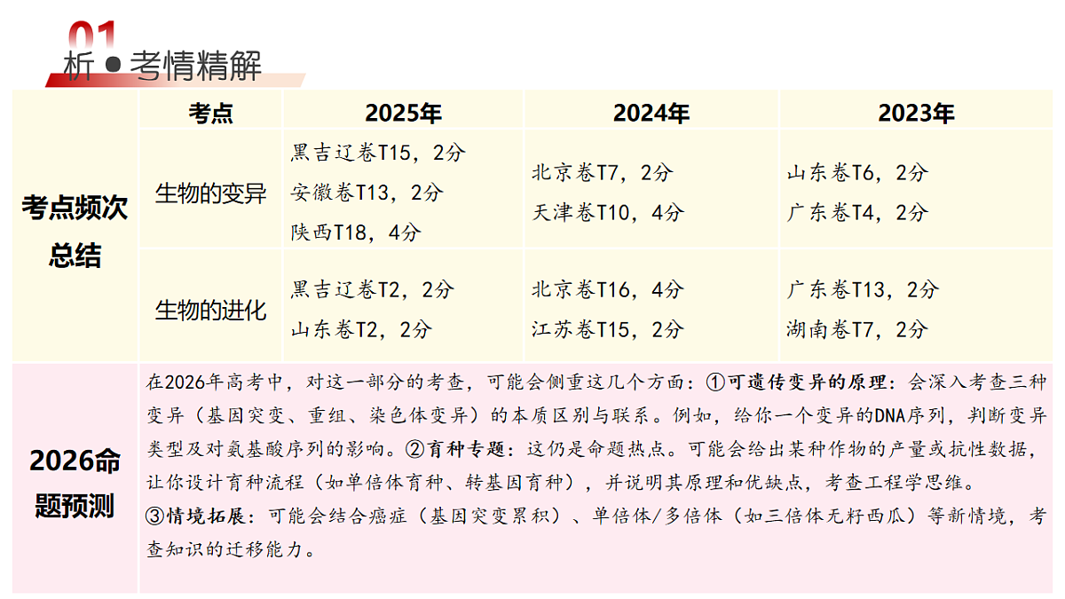 18202566第4页