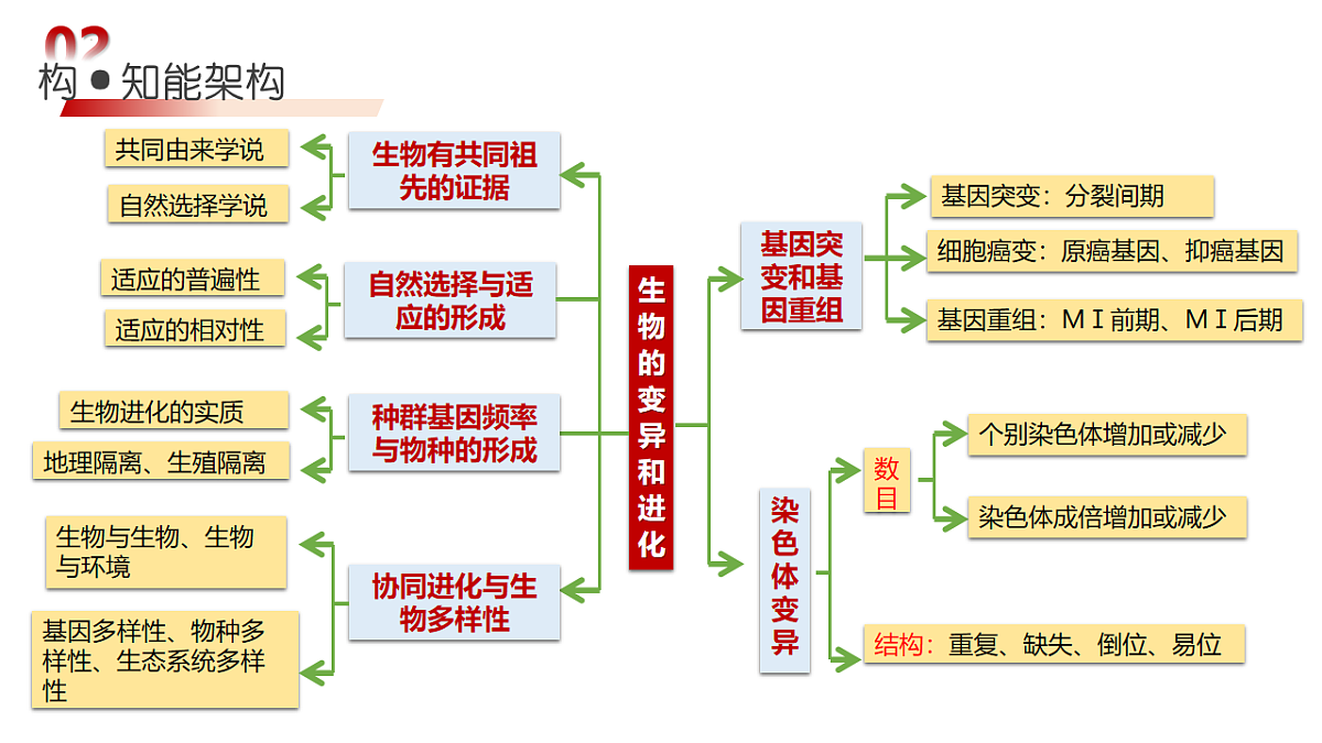 18202566第6页